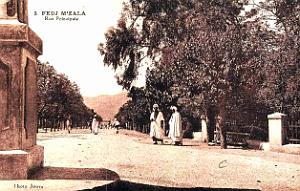 Fedj-M'Zala - Rue Principale